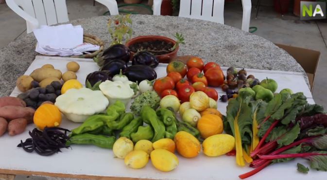 Lolas Garten
