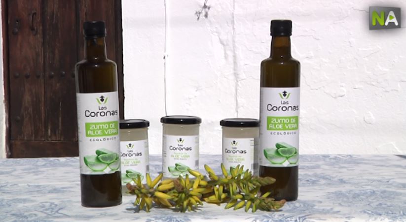 Las Coronas Aloe vera